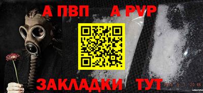 стаф Кингисепп
