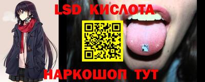 стаф Кингисепп