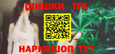 стаф Кингисепп
