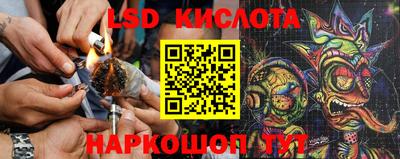 стаф Кингисепп