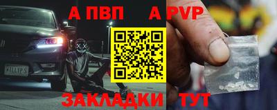 стаф Кингисепп