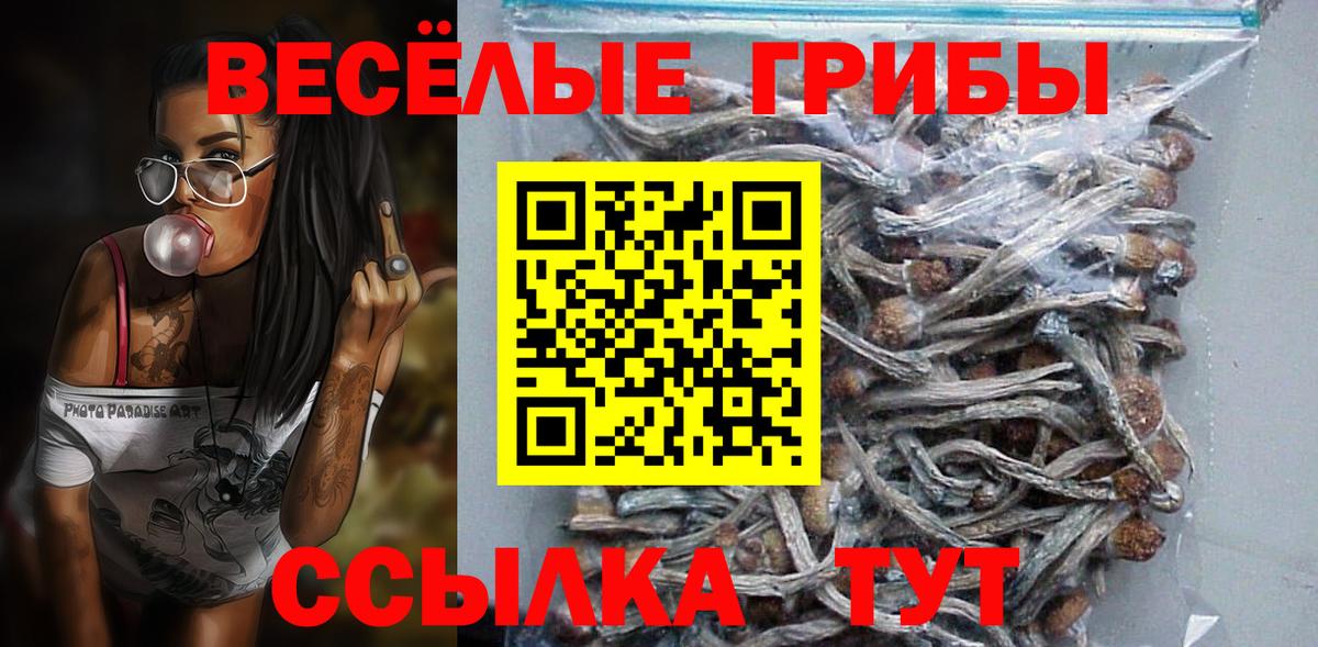 дарнет шоп  Псилоцибиновые грибы мухоморы  Вход с VPN  Новоалтайск 